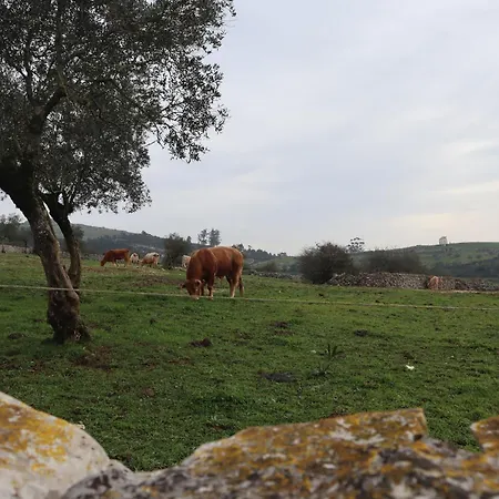 Casas Da Chainca - Turismo De Natureza * Chainca (Porto de Mos, Leiria)