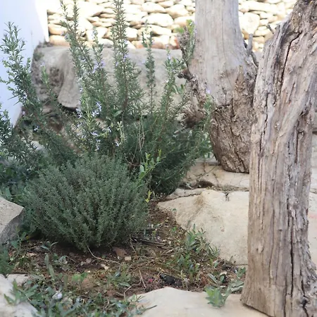 Casas Da Chainca - Turismo De Natureza Chainca (Porto de Mos, Leiria)