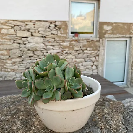 Casas Da Chainca - Turismo De Natureza * Chainca (Porto de Mos, Leiria)