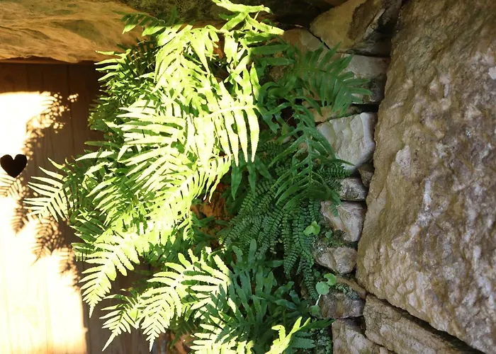 Casas Da Chainca - Turismo De Natureza *