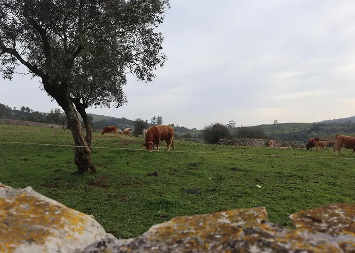 Casas Da Chainca - Turismo De Natureza * Chainca (Porto de Mos, Leiria)