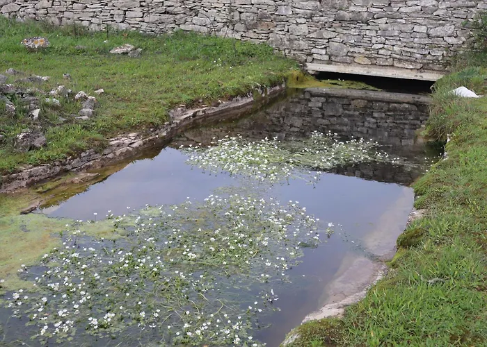 Casas Da Chainça - Turismo De Natureza Casa de Férias