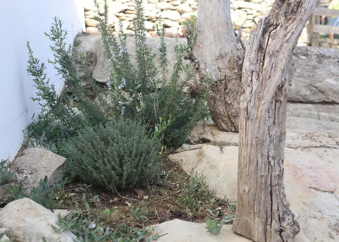 Casas Da Chainça - Turismo De Natureza Chainca (Porto de Mos, Leiria)