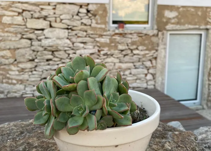 Casas Da Chainca - Turismo De Natureza * Chainca (Porto de Mos, Leiria)